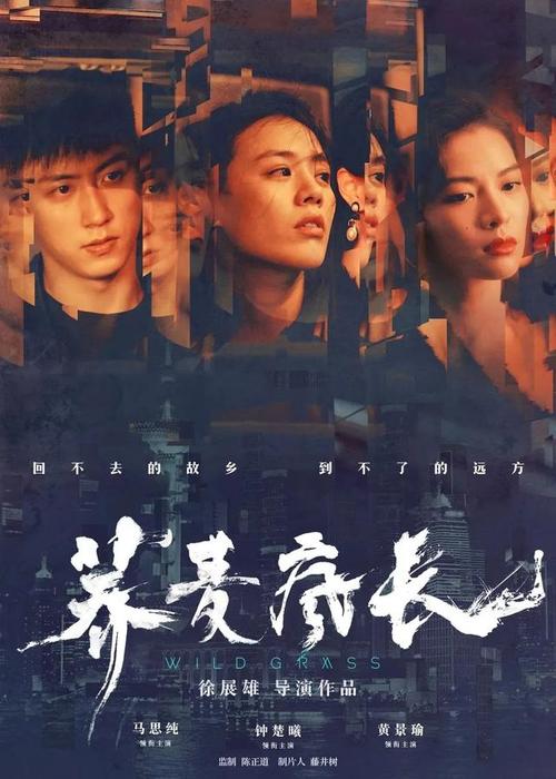 科克学院毕业证电子图